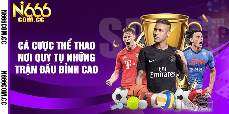 Cá cược thể thao nơi quy tụ những trận đấu đỉnh cao